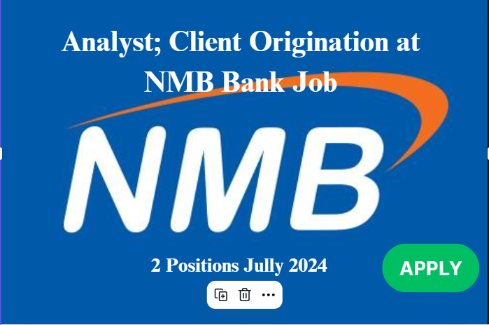 Analyst; Client Origination at NMB Bank Job