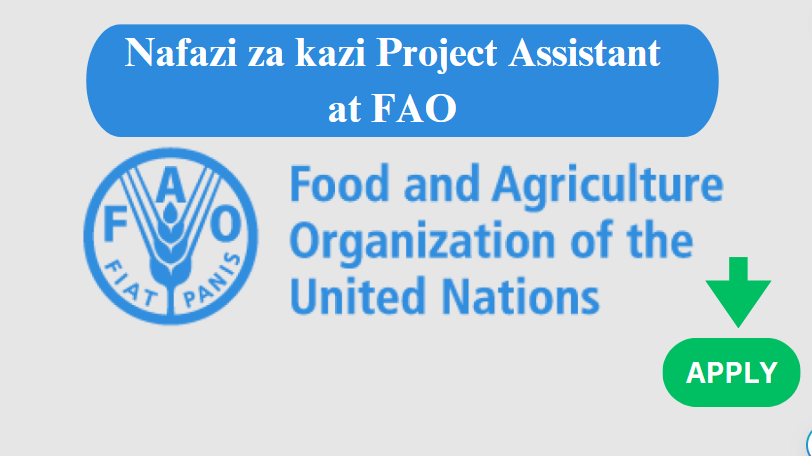 Project Assistant at FAO