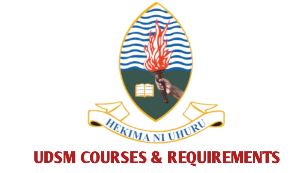 UDSM Requirements and Courses Offered 2026